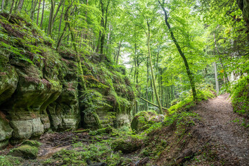 Beautiful green forest Hiking path with Sandstone chalk rock formations in Berdorf Mullerthal Luxembourg