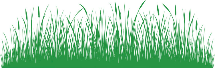 Green grass horizontal landscape border element vector illustration isolated on a white background