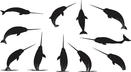 Narwhal Silhouettes in Various Swimming and Upright Poses with Spiral Tusks — Marine Wildlife Vector Set for Nature, Biology, and Ocean Design Projects © Julfikar