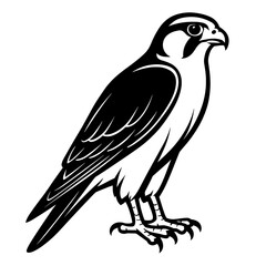 Obraz premium Black and white illustration of a falcon standing confidently 