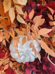 red autumn leaves Bright autumn leaves background pumpkin vegetables fall season landscape