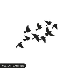 Flock of Birds Flying in Formation Silhouette.