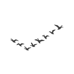Flock of birds flying in V formation in the sky.