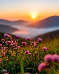 Fototapeta premium Beautiful Mountain Sunrise with Blooming Wildflowers