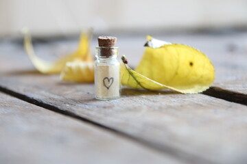 Its autumn time creative concept.