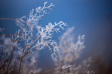Merry Christmas and happy new year greeting card. Winter landscape with snow .