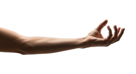 Human arm extended with hand open, isolated on transparent background