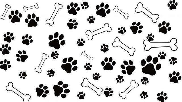 Dog Paw Prints and Bones Seamless Pattern. 4K Animation Video