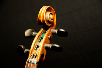 Schnecke einer Geige