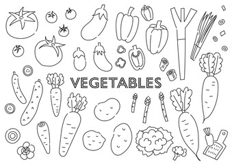 野菜の手描きイラストセット