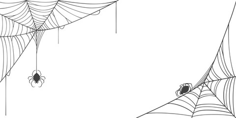 vector illustration of a spider web