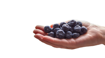 Handful of fresh ripe blueberries on clean white background, healthy organic summer fruit close up.
