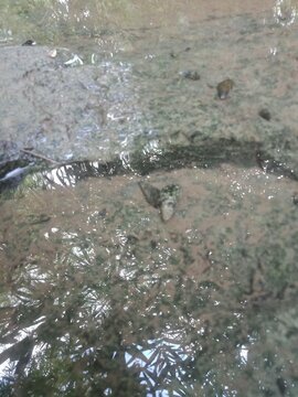 water flowing into the river