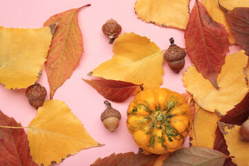 Naklejka premium Thanksgiving background: pumpkins, leaves and acorn on pink background. Seasonal autumnal.