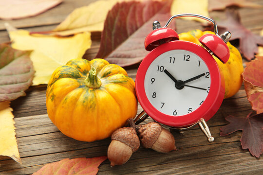 Red alarm clock, acorns and autumn leaves on grey wooden background. Daylight saving time end - Powered by Adobe