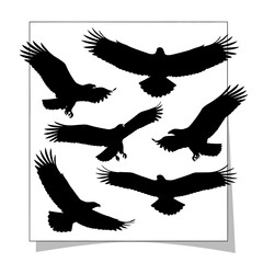 Silhouette of Eagles in Flight - A Dynamic Composition of Avian Majesty.