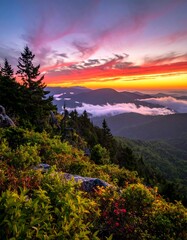 Mountaintop vista at dawn.  Sunrise paints a vibrant sky over a misty mountain range.  Colorful flora and dark evergreens frame the foreground