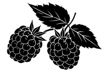 Vector illustration of a bunch of fresh, ripe berries on a leafy vine, isolated on white