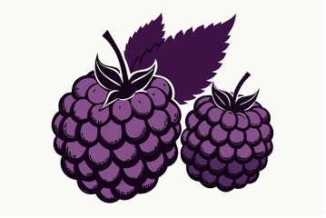 The vector illustration depicts a sweet and juicy raspberry and blackberry with a leaf, ripe berry clusters ready for a summer harvest