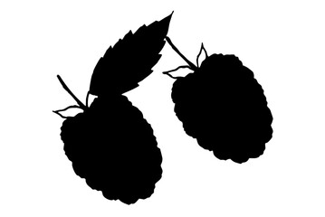 A seamless vector pattern illustration of pink floral rose and spring fruit, leaf, and plant food with retro cartoon design