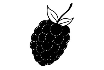 Vector illustration of ripe raspberries and blackberries, fresh sweet summer fruit berries