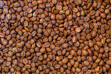close-up of high-quality Bolivian coffee