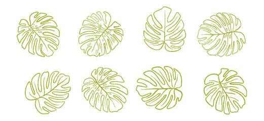 Hand drawn crayon grainy monstera leaves set. Abstract grunge texture shapes. Vector  EPS 10
