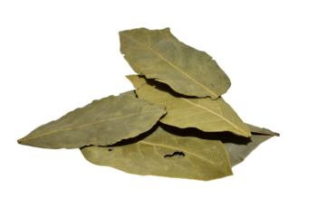 Dry bay leaves isolated on PNG background.