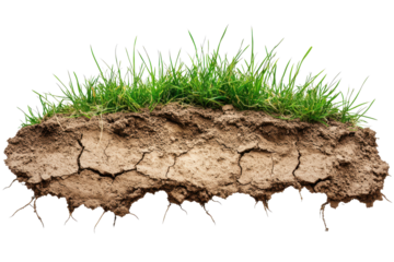 Dried soil formation topped with vibrant green grass reveals the resilience of nature in arid conditions and the beauty of earth's ecosystems