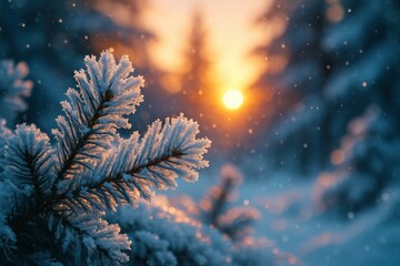 Icy branch glows in the warm light of sunset in a tranquil winter scene.