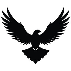 Obraz premium Black eagle soaring wings spread wide bird flying