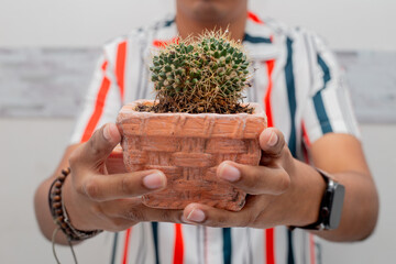 man's hands holding a cactus