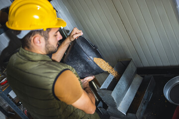 Young worker sampling wheat before storage