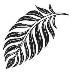 Black silhouette of a palm frond on white background
