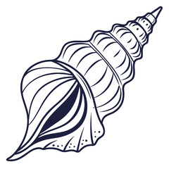 Dark blue line art seashell icon on white background