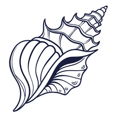 Dark blue line art seashell on white background conch
