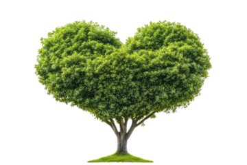 Heart shaped green tree symbolizes love and connection in a serene natural setting, showcasing the beauty of nature and the love it represents