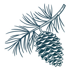Pinecone on pine branch vector graphic nature christmas