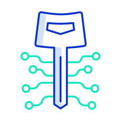 security key technology outline color icon design