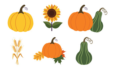 Flat minimalist autumn harvest icon set with pumpkins, sunflower, wheat, gourd and maple leaves in seasonal fall design layout