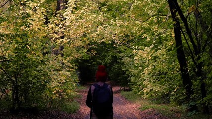A woman in a red knitted hat walks her dog along a path in a beautiful autumn park, grove or forest.