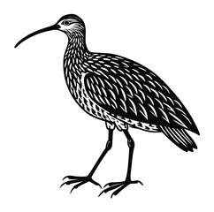 Curlew Silhouette Vector Icon, Walking Shorebird Line Art with Prominent Down-Curved Bill for Wildlife UI/UX Apps and Nature Website Design on White Background.

