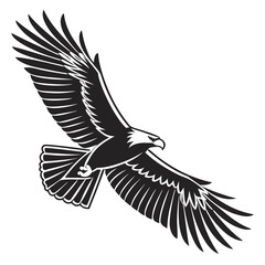 Black eagle bird in flight spread wings flying