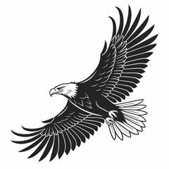 Black eagle with spread wings in flight bird flying 1