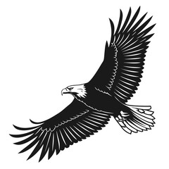 Black eagle in flight spread wings white background