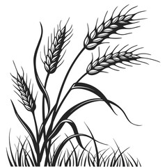 Black wheat stalks and grass silhouette on white background