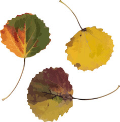 Flat leaf icon silhouette. The silhouette of an aspen leaf