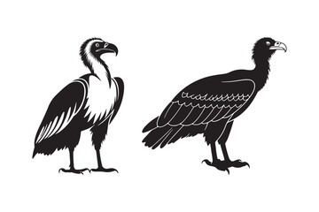 Two black and white illustrations of vultures standing side by side