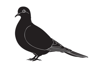 Black silhouette of a pigeon standing on a white background