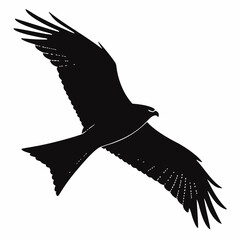 Black silhouette of a kite bird in flight on white